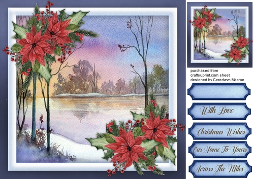 Beautiful Chrismas Stream and Poinsettias