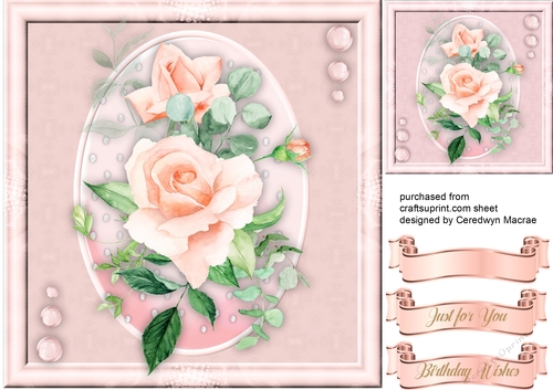 Beautiful Pink Amor Roses
