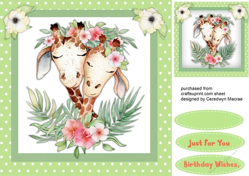  Beautiful Giraffes With Flowers