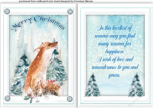 A5, Card and Insert , Fox In the Snow