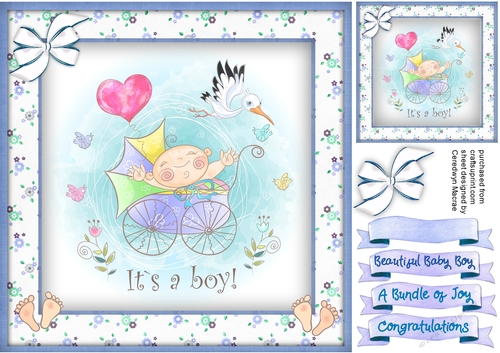 Beautiful Baby Boy 2