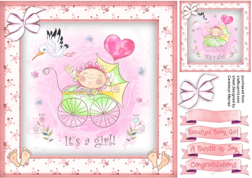 Beautiful Baby Girl  2