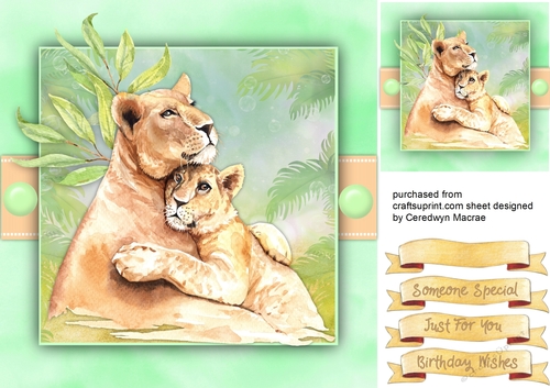 Beautiful Lioness and Cub