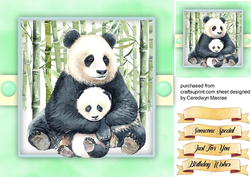 Beautiful Panda and Baby
