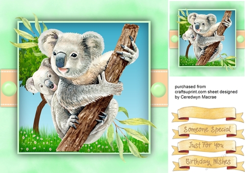 Beautiful Koala and Baby