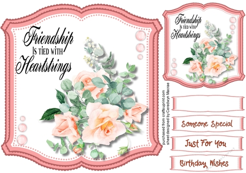 Beautiful Pink Roses and Friendship