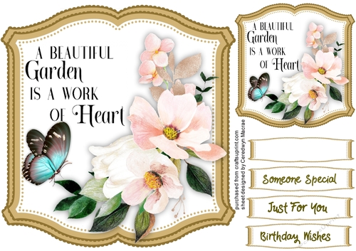 Beautiful  Roses and Butterflys