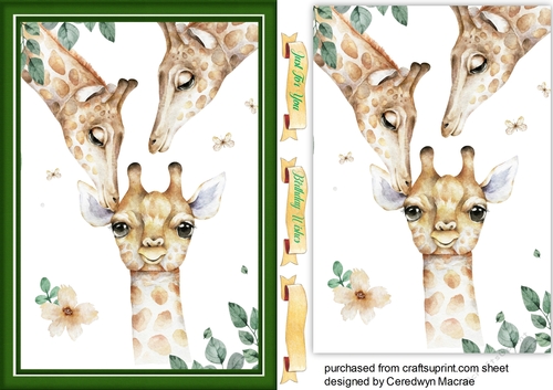 A5, Beautiful  Giraffe Family 
