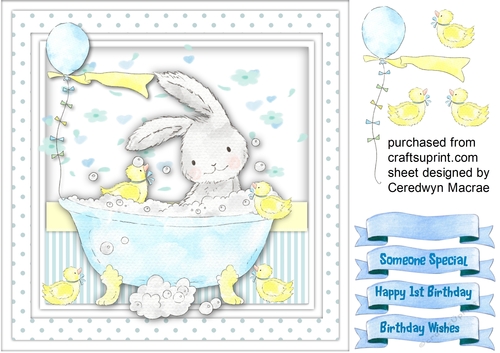 Rabbits Birthday Bath , Blue