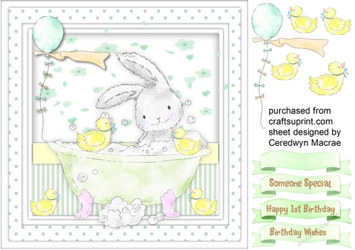 Rabbits Birthday Bath , Green