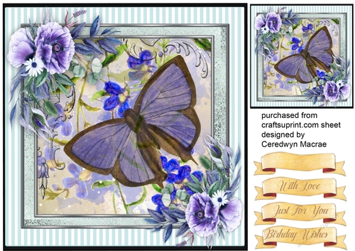 Beautiful Blue  Butterfly and Anemonies