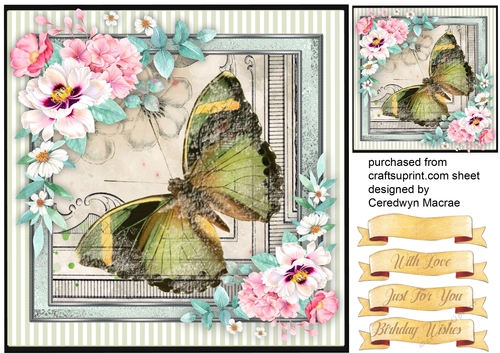 Beautiful Butterfly and Pink Roses
