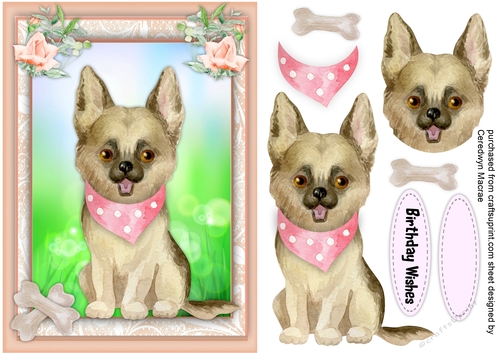  A5 ,Cute Puppy with Neck Scarf 