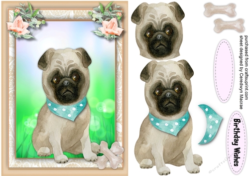  A5 ,Cute Puppy in a Aqua  Neck Scarf 
