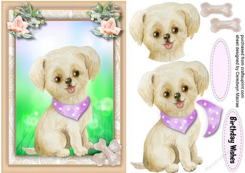  A5 ,Cute Puppy in a Lilac  Neck Scarf 