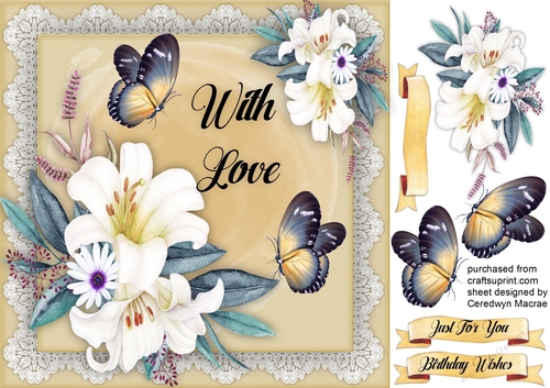 Butterflys With Love 