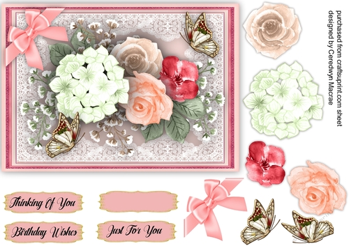 Ar Beautiful Hydrangers Roses and Butterflys