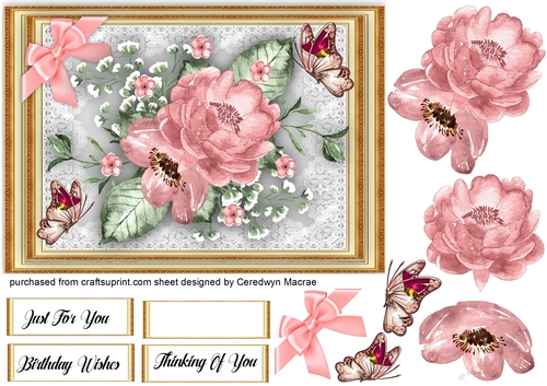 A5,Garden Roses and  Butterflys