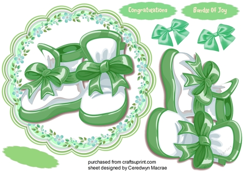 Green  Baby Booties
