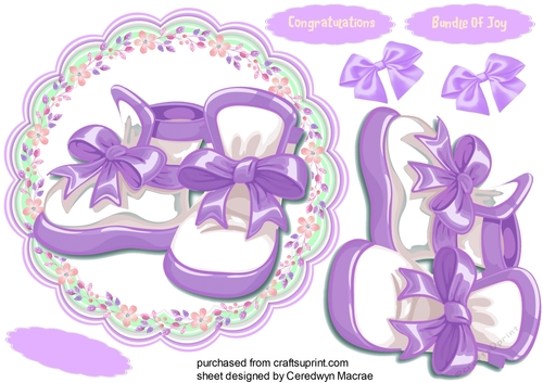 Lilac  Baby Booties