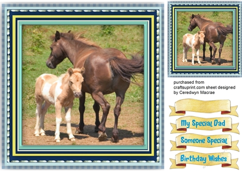 Beautiful Mother and Foal 2