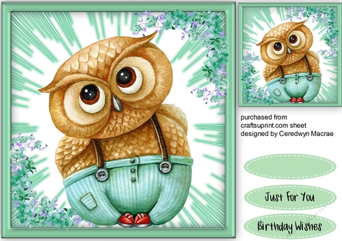 Ill Owlways Love You