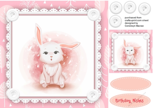 Cute Baby Bunny 