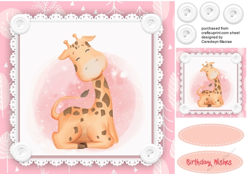 Cute Baby Giraffe