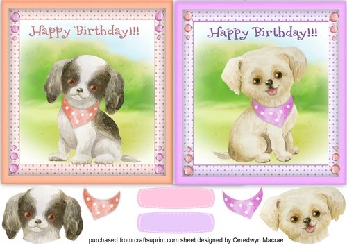 2, Cute Puppies