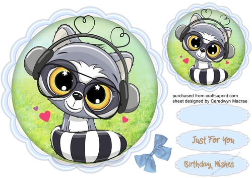 lovely Music Raccoon 