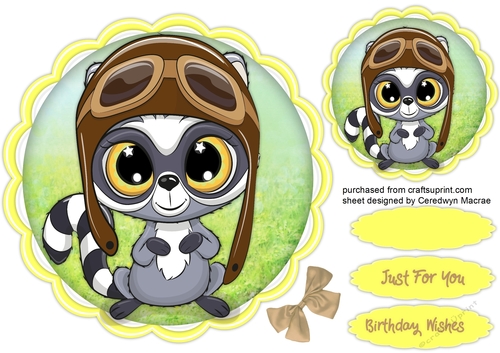Lovely Raccoon Pilot