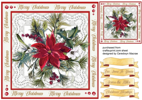 Beautiful  Poinsettia on Lace 
