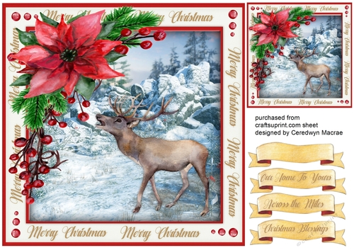 Beautiful Stag and Poinsettia 