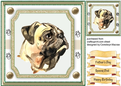 Beautiful Pug Dog 