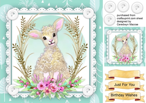Lovely Lamb in the Flowers
