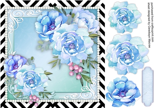 Stunning Blue Peony Roses 