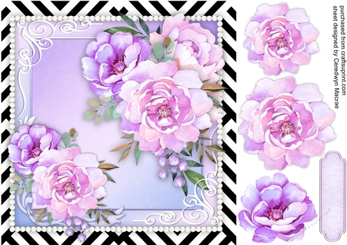 Stunning Lilac Peony Roses 