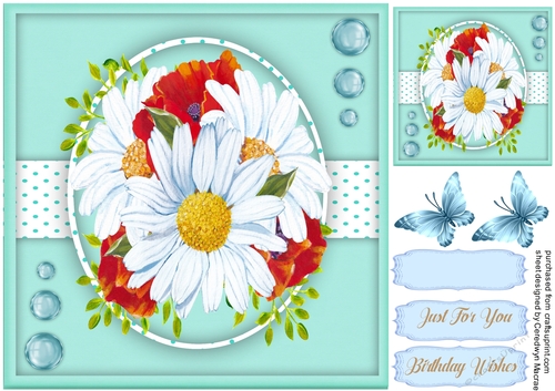 Beautiful Daisys And Poppys