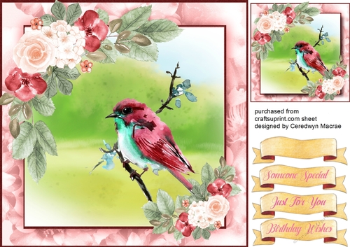 Beautiful Red Bird on a Branch