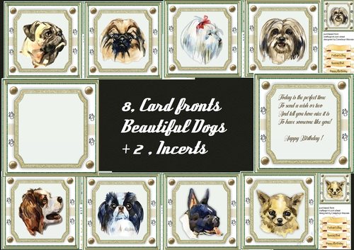 8, Crad fronts , Beautiful Dogs +2 incerts
