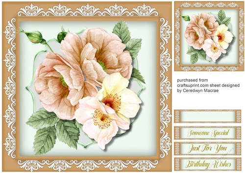 Beautiful Cream Briaer Roses