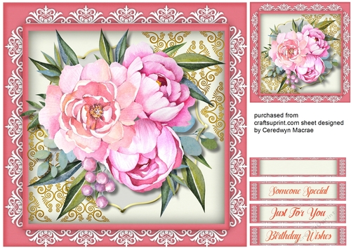 Beautiful Pink Peony Roses