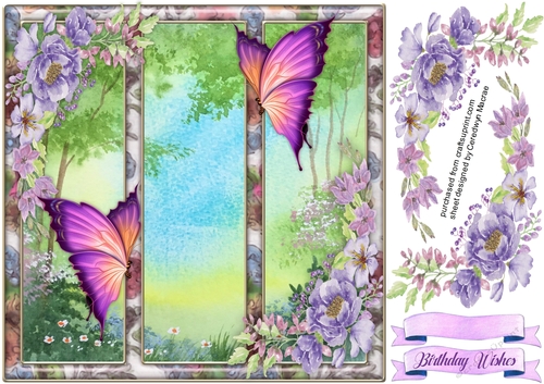 Butterflys in the Frame 1