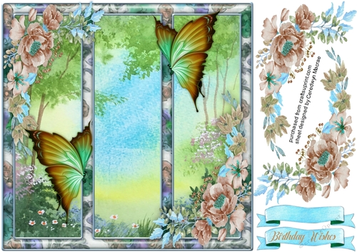 Butterflys in the Frame 2