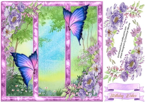 Butterflys in the Frame 3