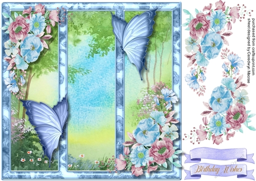 Butterflys in the Frame 4