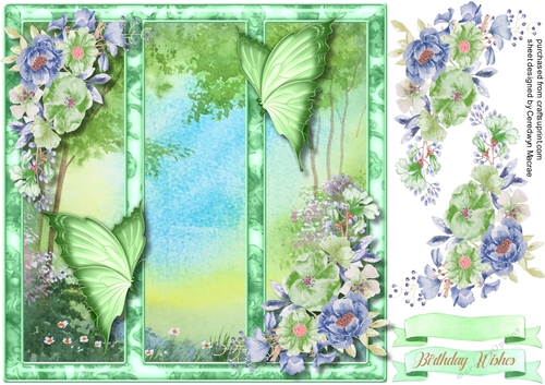 Butterflys in the Frame 6