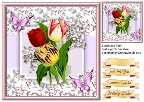 Beautiful Tulips and Butterflys
