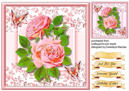 Beautiful Pink Roses and Butterflys