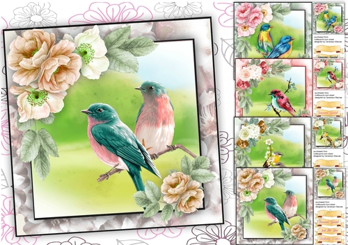4, Beautiful Birds on a Branch